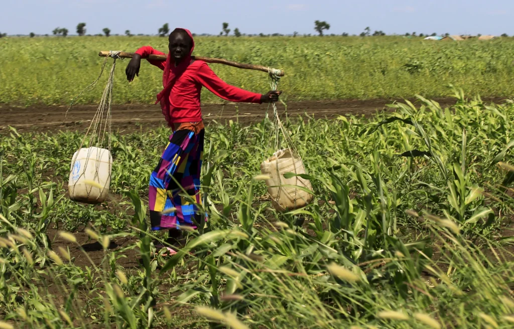 Innovative Approaches to Rural Development